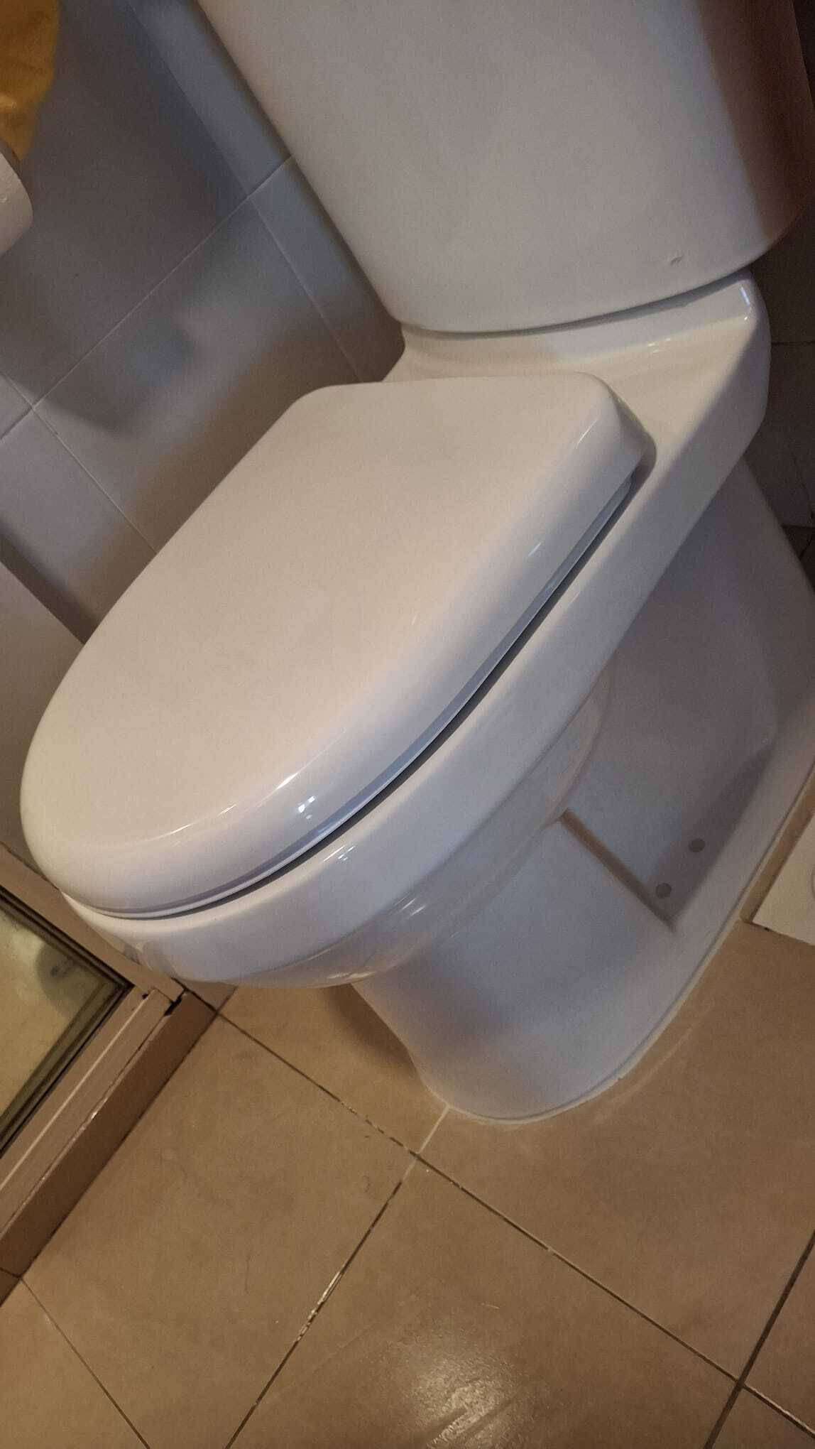 new toilet bowl